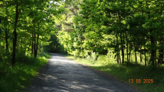 DSC00567-Kopiowanie